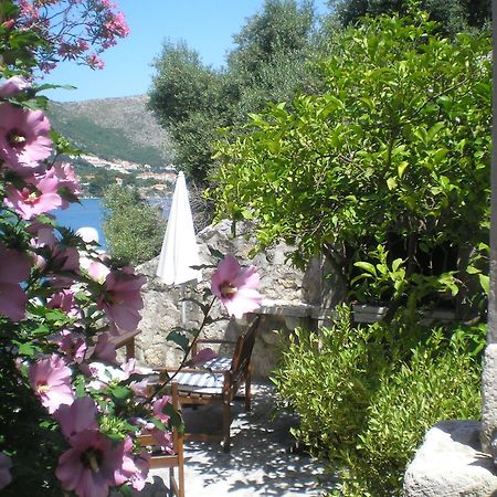 Villa Gverovic Štikovica Rum bild