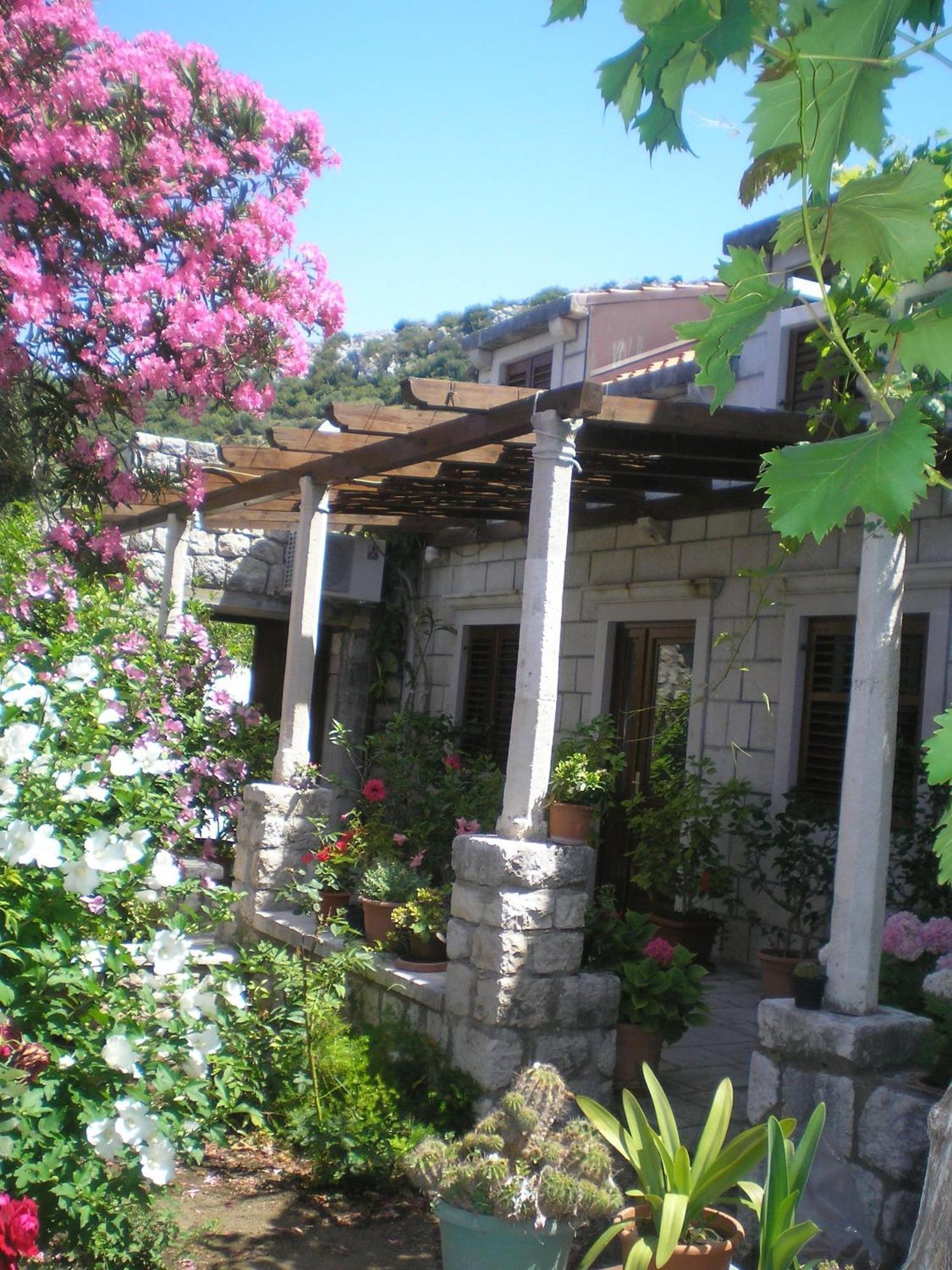 Villa Gverovic Štikovica Rum bild