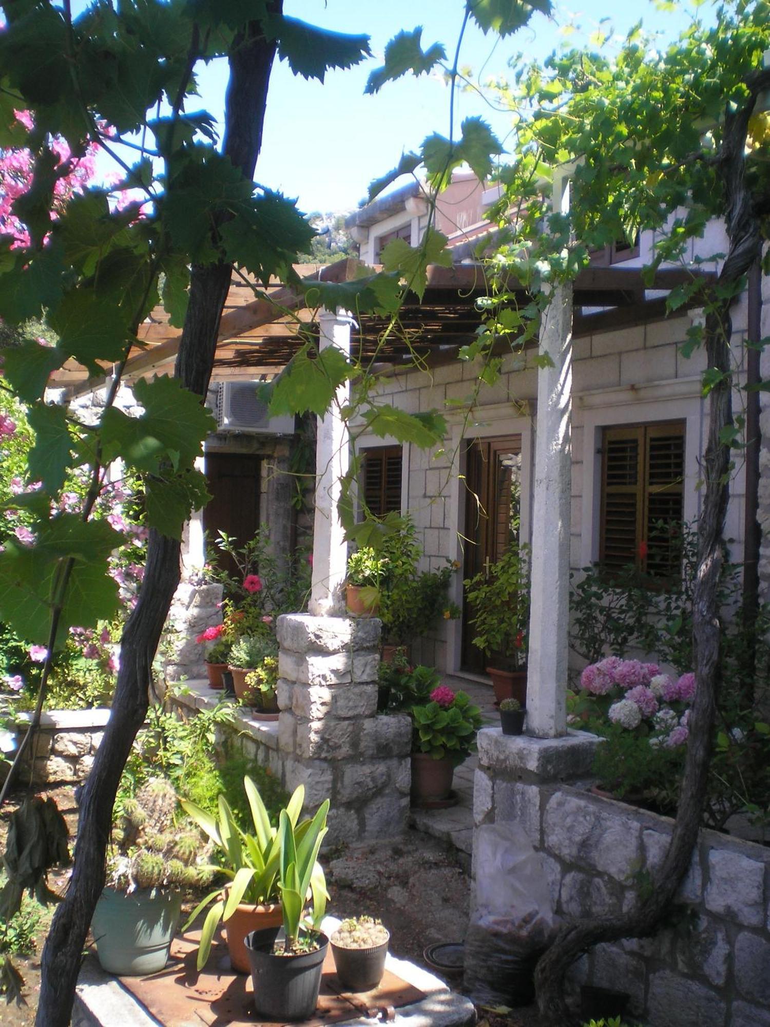 Villa Gverovic Štikovica Rum bild