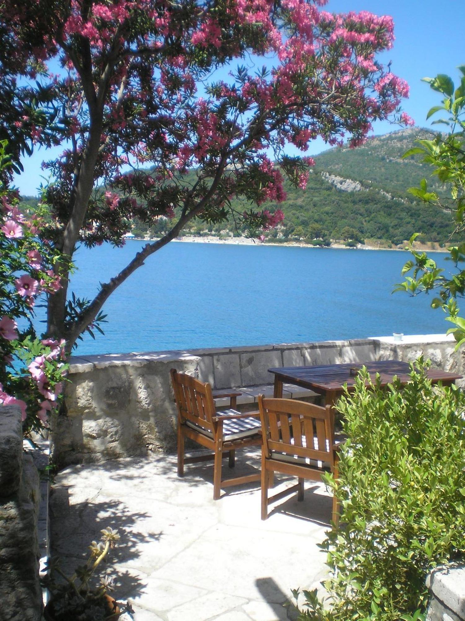 Villa Gverovic Štikovica Rum bild
