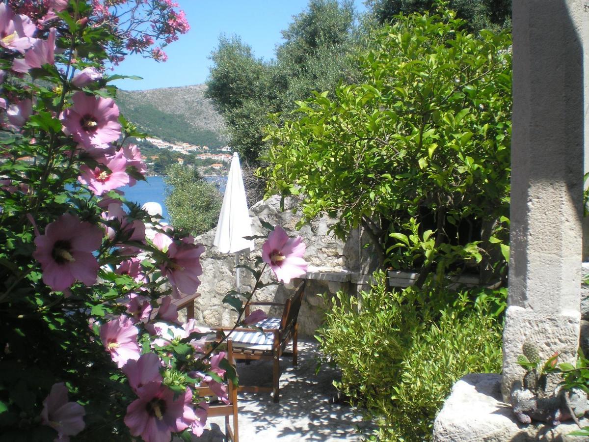 Villa Gverovic Štikovica Rum bild